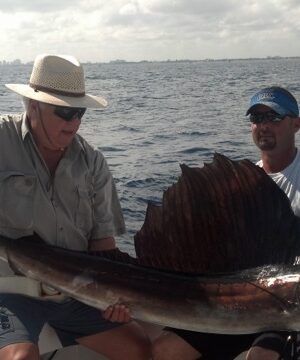 sailfish