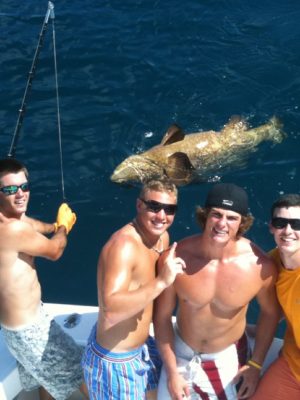 Giant Goliath Grouper