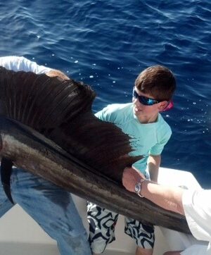 sailfish