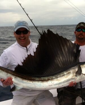 Catch and release Sailfish